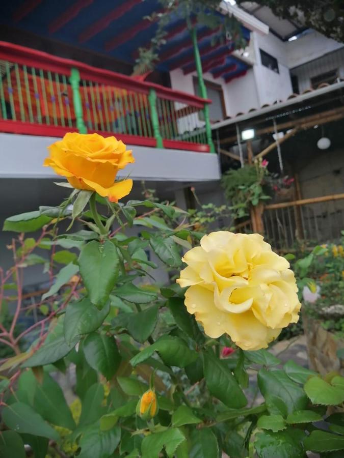Salamina Highs Hotel Exterior photo